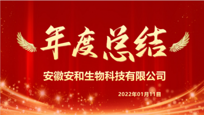 安徽安和2021年度總結(jié)、述職及簽狀大會(huì)